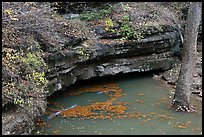 Styx underground river resurgence. Mammoth Cave National Park, Kentucky, USA. (color)