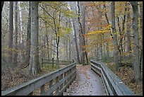Boardwalk in fall. Mammoth Cave National Park, Kentucky, USA. (color)