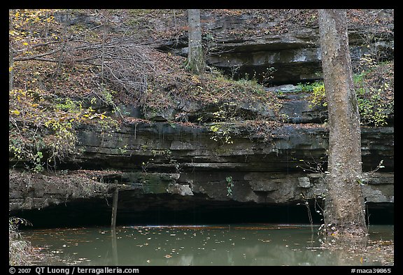Limestone ledges, trees, and Styx spring. Mammoth Cave National Park, Kentucky, USA.