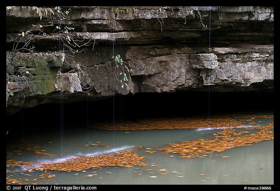Styx resurgence and limestone ledges. Mammoth Cave National Park, Kentucky, USA.