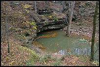 Styx river resurgence in autumn. Mammoth Cave National Park ( color)