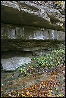 Limestone slabs and overhangs. Mammoth Cave National Park, Kentucky, USA. (color)