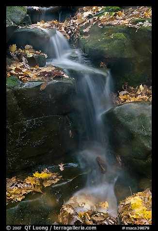 Stream, boulders, and fallen leaves. Mammoth Cave National Park, Kentucky, USA.