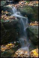 Stream, boulders, and fallen leaves. Mammoth Cave National Park ( color)