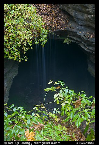 Entrance shaft and rain-fed water drip. Mammoth Cave National Park, Kentucky, USA.