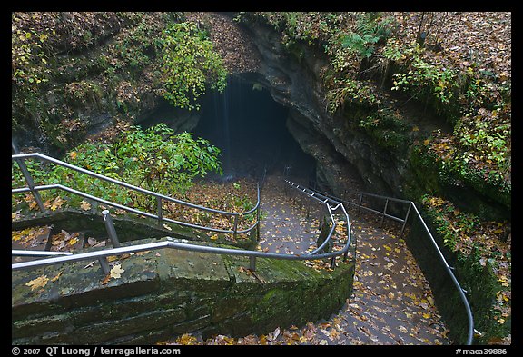 Steps and handrails leading down to cave. Mammoth Cave National Park, Kentucky, USA.