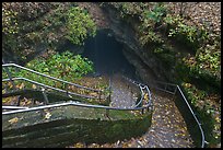 Steps and handrails leading down to cave. Mammoth Cave National Park, Kentucky, USA. (color)