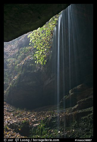 Ephemeral waterfall seen from inside cave. Mammoth Cave National Park (color)