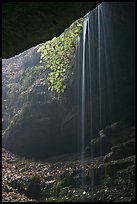 Ephemeral waterfall seen from inside cave. Mammoth Cave National Park, Kentucky, USA. (color)