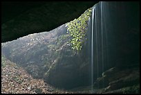 Rain-fed waterfall seen from inside cave. Mammoth Cave National Park ( color)