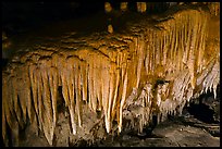 Flowstone detail, Frozen Niagara. Mammoth Cave National Park, Kentucky, USA. (color)
