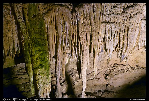 Stalactites detail, Frozen Niagara. Mammoth Cave National Park, Kentucky, USA.