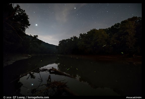 Green River, stars and fireflies at night, Houchin Ferry. Mammoth Cave National Park, Kentucky, USA.