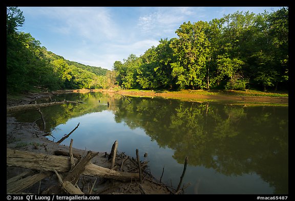 Calm waters of Green River, Houchin Ferry. Mammoth Cave National Park (color)