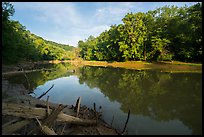 Calm waters of Green River, Houchin Ferry. Mammoth Cave National Park ( color)