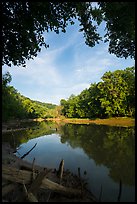 Green River and reflections at Houchin Ferry. Mammoth Cave National Park ( color)