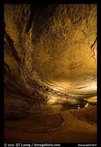 Passageway and cave ceiling. Mammoth Cave National Park (color)