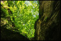 Looking up cave historic entrance. Mammoth Cave National Park ( color)