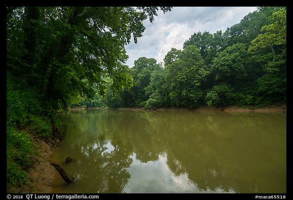Green River at Dennison Ferry. Mammoth Cave National Park (color)
