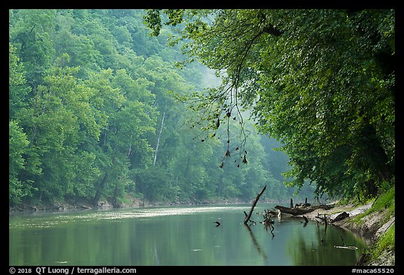 Green River and fog, Dennison Ferry. Mammoth Cave National Park (color)
