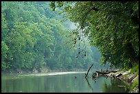 Green River and fog, Dennison Ferry. Mammoth Cave National Park ( color)
