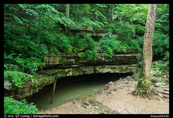 River Styx resurgence in summer. Mammoth Cave National Park, Kentucky, USA.