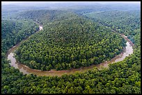 Aerial view of Green River bend. Mammoth Cave National Park ( color)