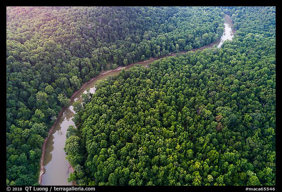 Aerial view of Green River curve. Mammoth Cave National Park (color)