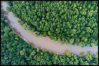 Aerial view of Green River and forest looking down. Mammoth Cave National Park ( color)
