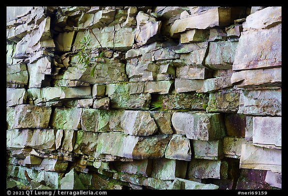 Cliff detail, Castle Rock. New River Gorge National Park and Preserve (color)