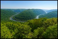 Bend of New River from Grandview, morning. New River Gorge National Park and Preserve ( color)