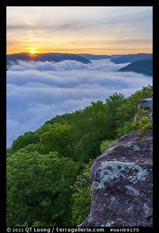 Sun rising over sea of clouds from Grandview. New River Gorge National Park and Preserve, West Virginia, USA.