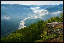 New River from Grandview with low clouds. New River Gorge National Park and Preserve ( color)