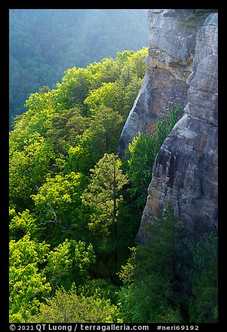 Endless Walls Cliffs. New River Gorge National Park and Preserve, West Virginia, USA.