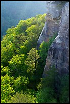 Endless Walls Cliffs. New River Gorge National Park and Preserve ( color)
