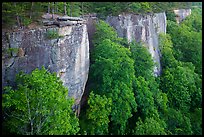Endless Walls Cliffs from Diamond Point. New River Gorge National Park and Preserve ( color)