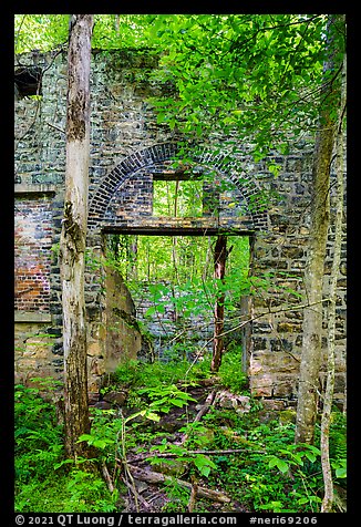 Powerhouse reclaimed by vegetation, Kaymoor Mine Site. New River Gorge National Park and Preserve (color)