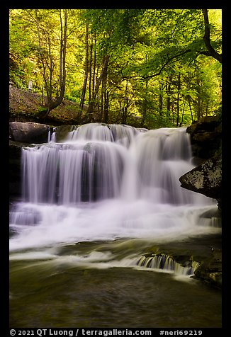 Dunloup Creek Falls. New River Gorge National Park and Preserve (color)