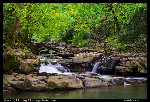 Glade Creek cascades. New River Gorge National Park and Preserve (color)