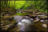 Glade Creek stream. New River Gorge National Park and Preserve ( color)
