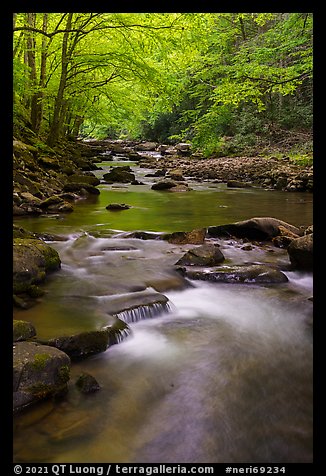 Glade Creek flowing in early spring forest. New River Gorge National Park and Preserve (color)