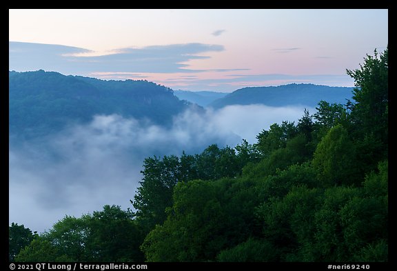 Low fog in river gorge from Long Point at dawn. New River Gorge National Park and Preserve, West Virginia, USA.
