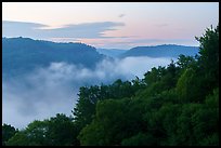 Low fog in river gorge from Long Point at dawn. New River Gorge National Park and Preserve ( color)