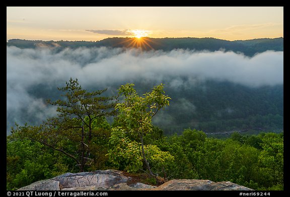 Sunrise with low clouds from Long Point. New River Gorge National Park and Preserve (color)