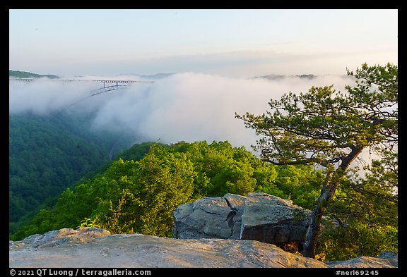New River Gorge Bridge and fog from Long Point. New River Gorge National Park and Preserve (color)