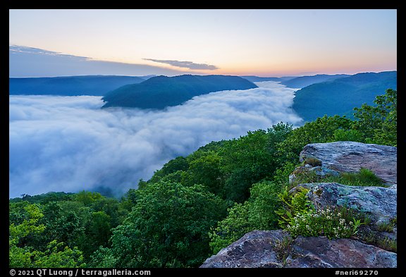 Fog-filled gorge from Grandview Overlook at dawn. New River Gorge National Park and Preserve (color)