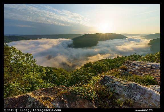Sun rising over fog-filled gorge bend from Grandview Overlook. New River Gorge National Park and Preserve, West Virginia, USA.