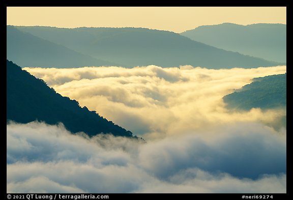 Fog-filled gorge and sunrise. New River Gorge National Park and Preserve, West Virginia, USA.
