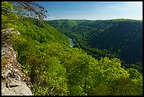 River Gorge from Beauty Mountain. New River Gorge National Park and Preserve ( color)