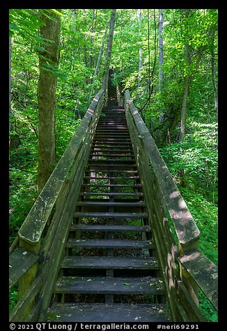 Staircase boardwalk, Kaymoor Mine Site. New River Gorge National Park and Preserve, West Virginia, USA.